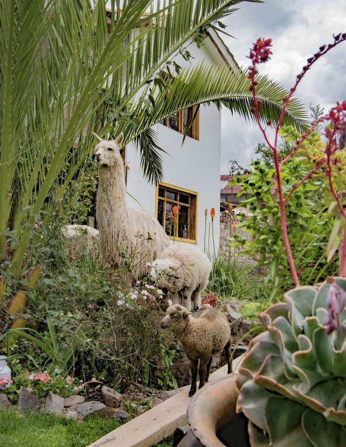 Inkita Boutique Guesthouse Cusco Exterior photo